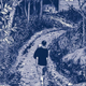 Image for article titled SuperMutant Magic Academy’s Jillian Tamaki explores adolescence through art